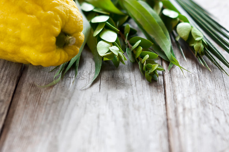 המשמעות ההלכתית מאחורי הענקת טבעת אירוסין