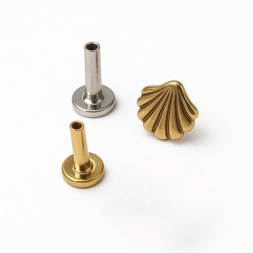 עגיל צדפה זהב לפירסינג השראה מהים בעיצוב אלגנטי ונשי