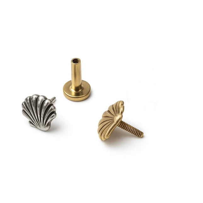 עגיל צדפה (בודד) זהב לפירסינג השראה מהים אלגנטי ונשי