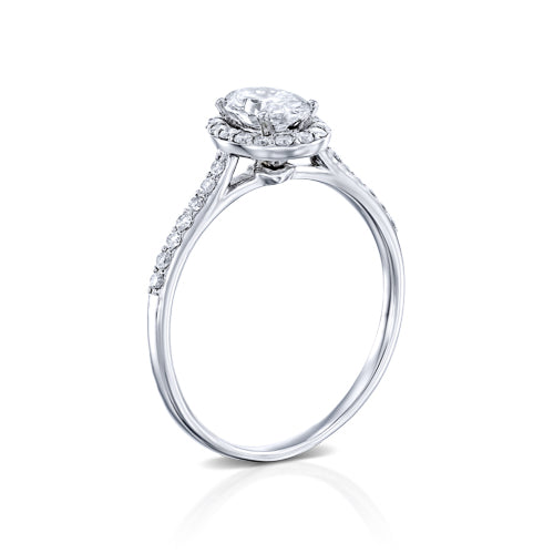 טבעת אירוסין "ויולט" היילו אובל זהב לבן